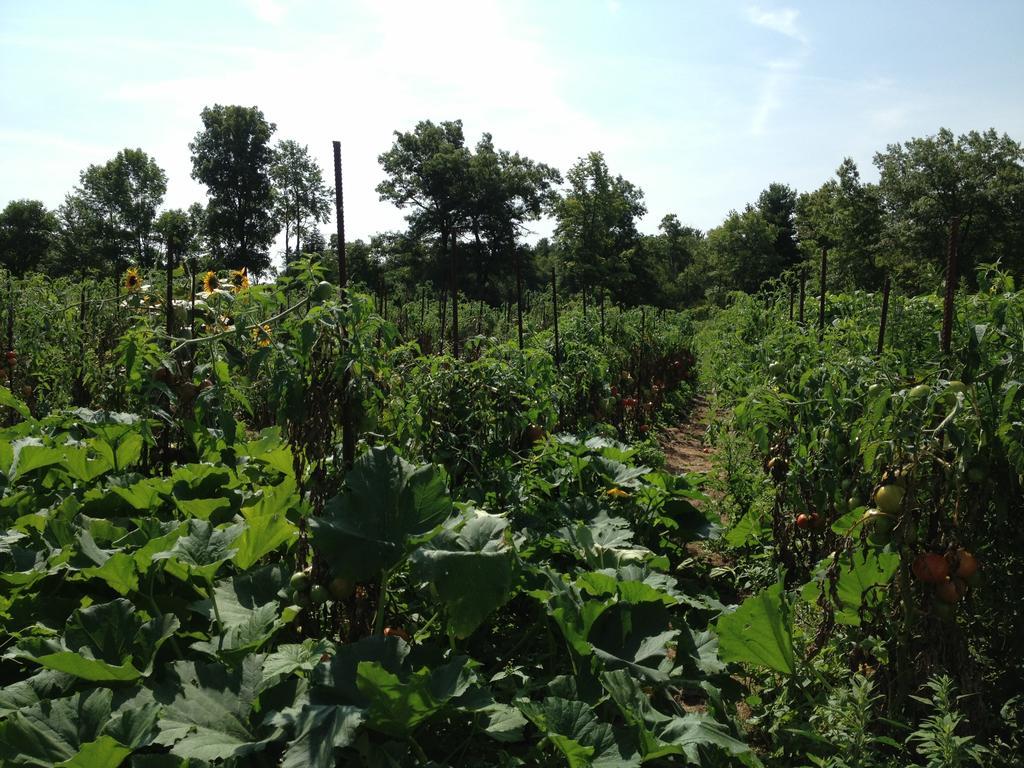 Lukans Farm Resort Hawley Ngoại thất bức ảnh